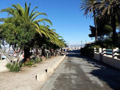 183 ILE DE PORQUEROLLES -1_000035